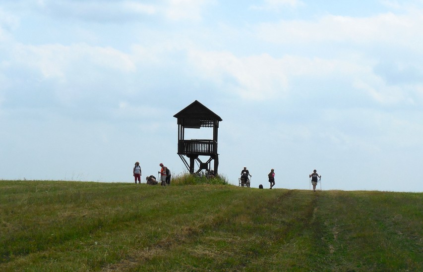 img00174.jpg