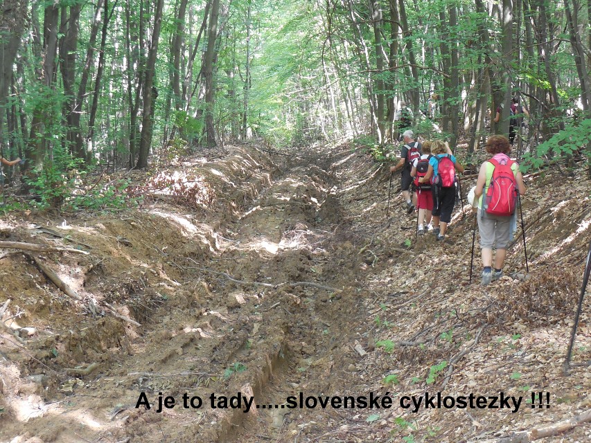 img00179.jpg