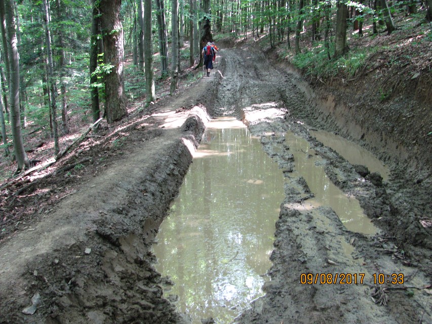 img00192.jpg