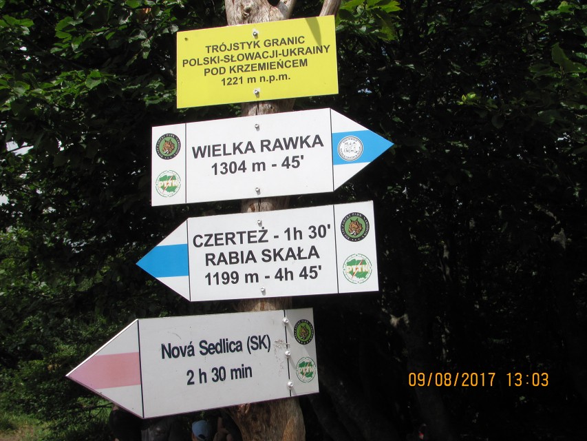 img00203.jpg