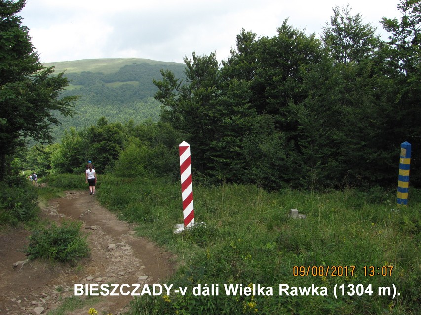 img00205.jpg
