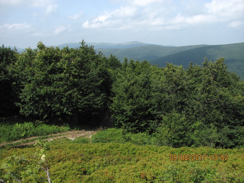 img00207.jpg