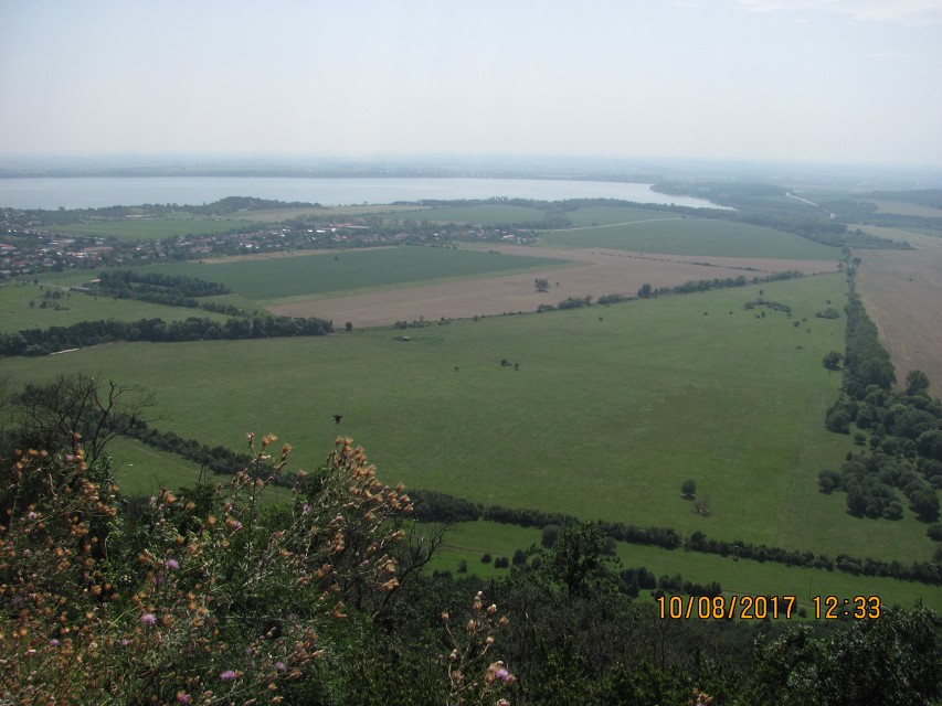 img00224.jpg