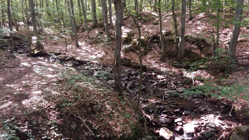 img00235.jpg