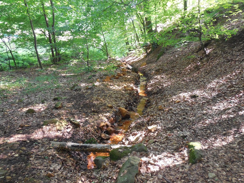 img00237.jpg