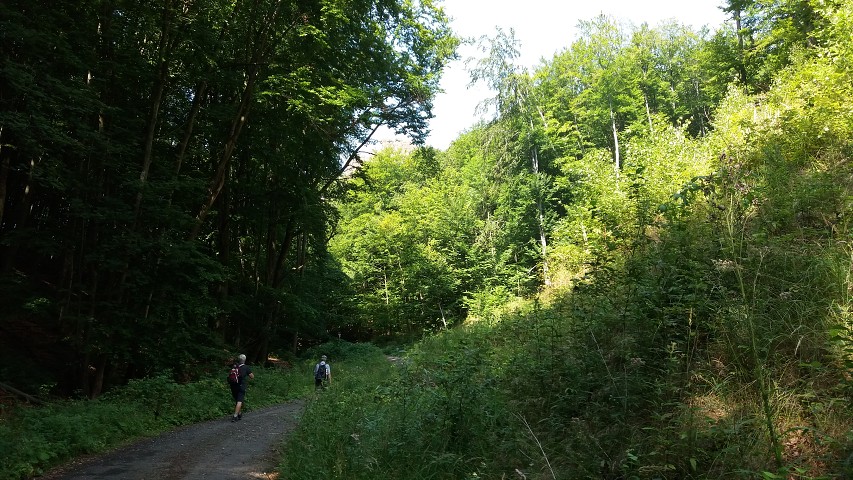 img00239.jpg