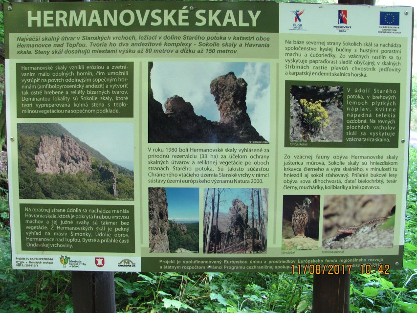 img00240.jpg