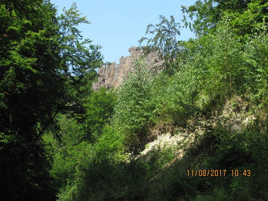 img00241.jpg