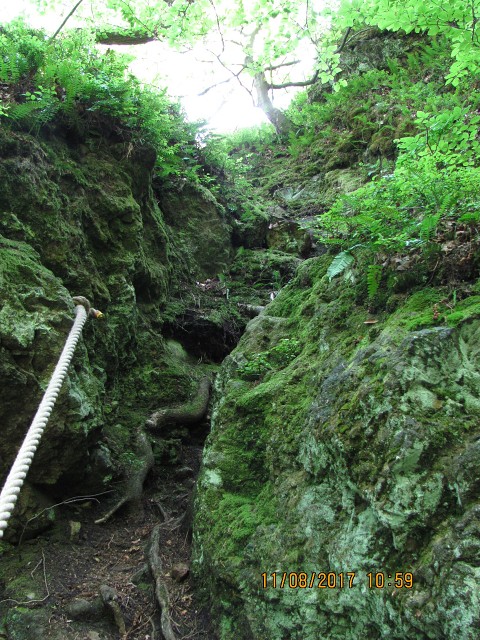 img00244.jpg