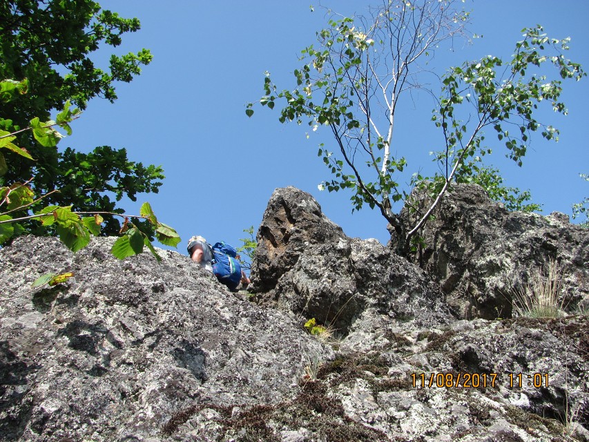 img00245.jpg