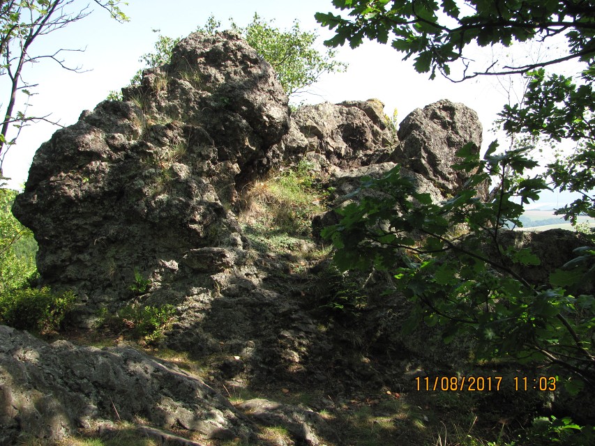 img00246.jpg