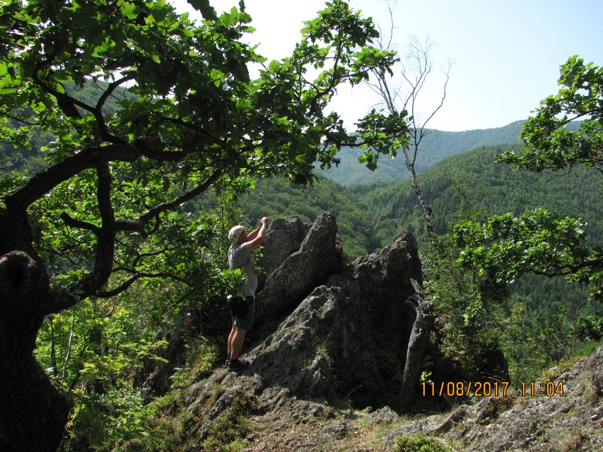 img00248.jpg