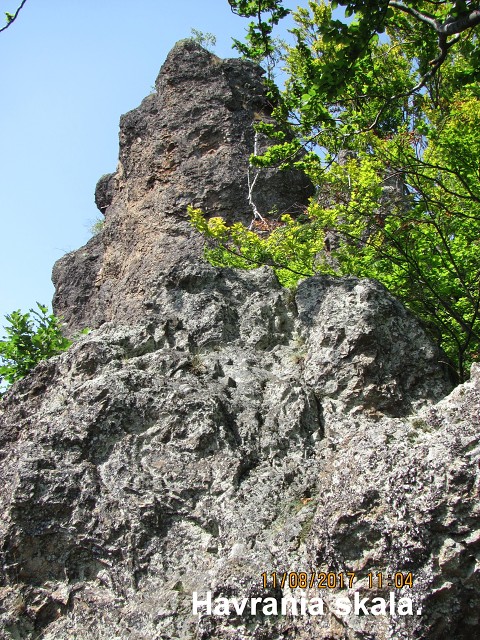 img00249.jpg