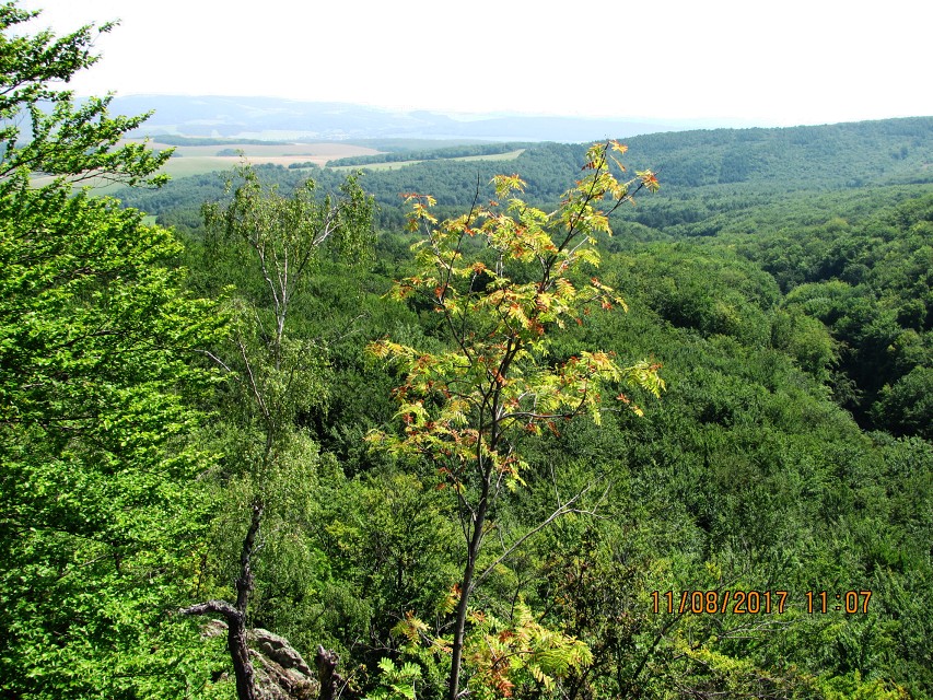 img00250.jpg