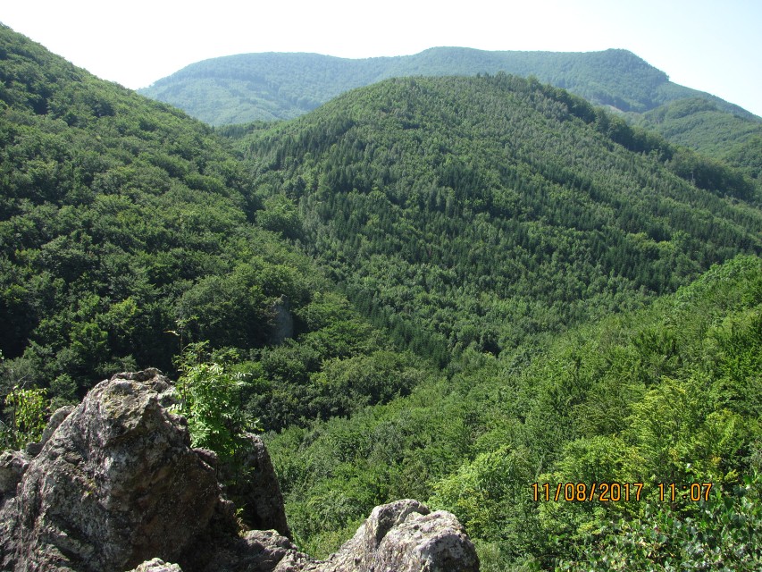 img00251.jpg