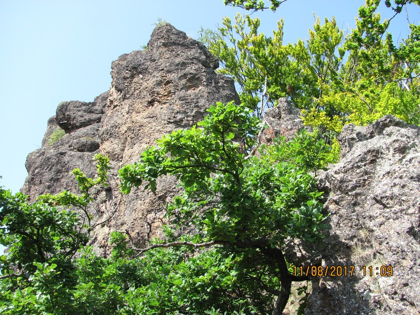 img00252.jpg