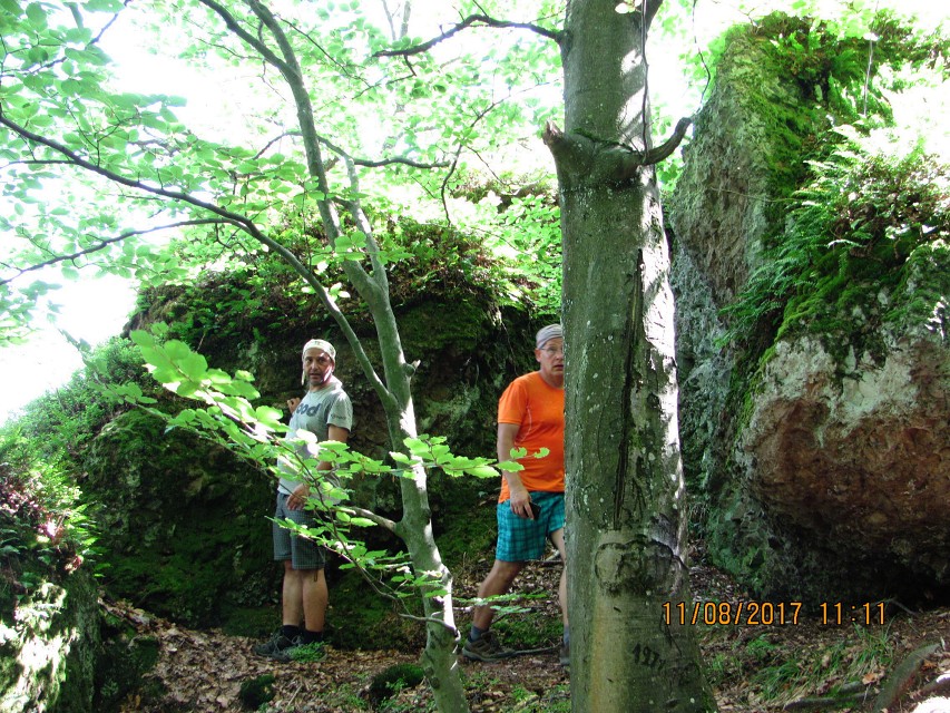 img00253.jpg