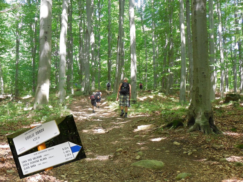 img00255.jpg