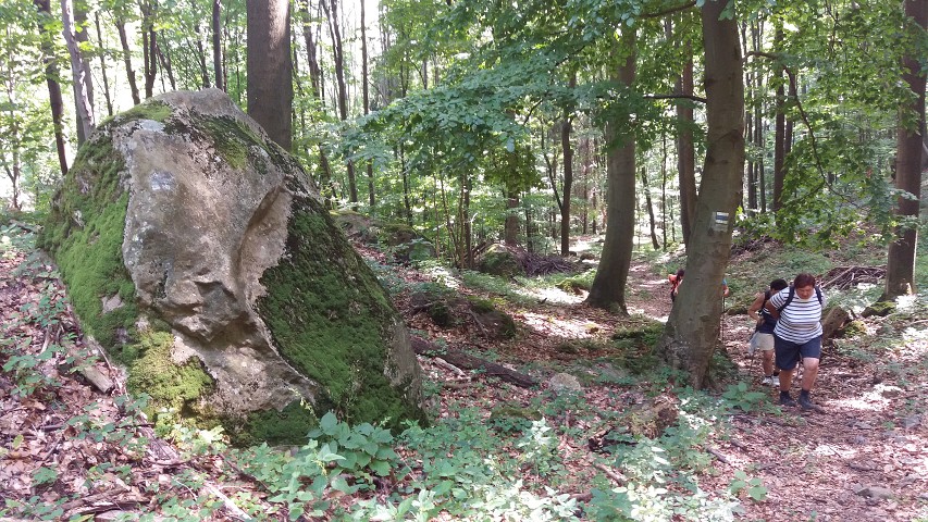 img00256.jpg
