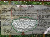 thn00008.jpg