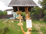 thn00038.jpg