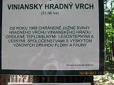 thn00219.jpg