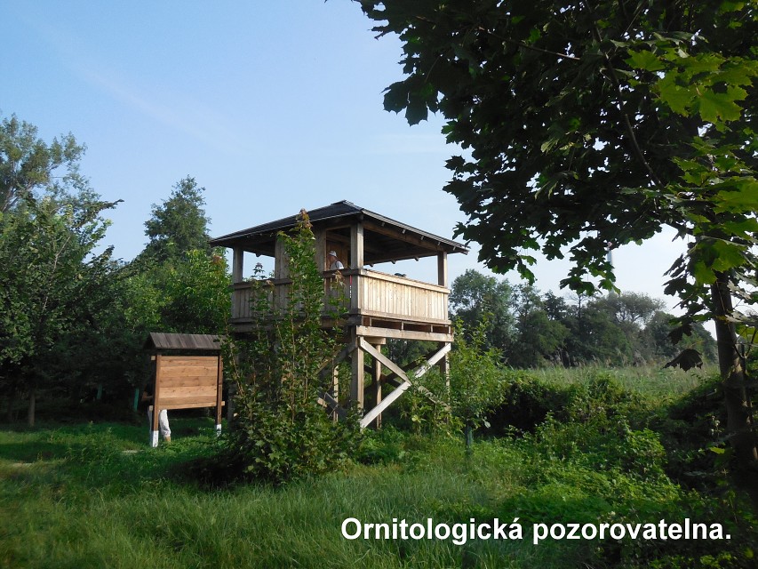 img00004.jpg