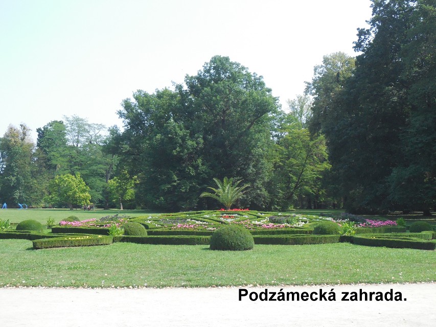 img00026.jpg