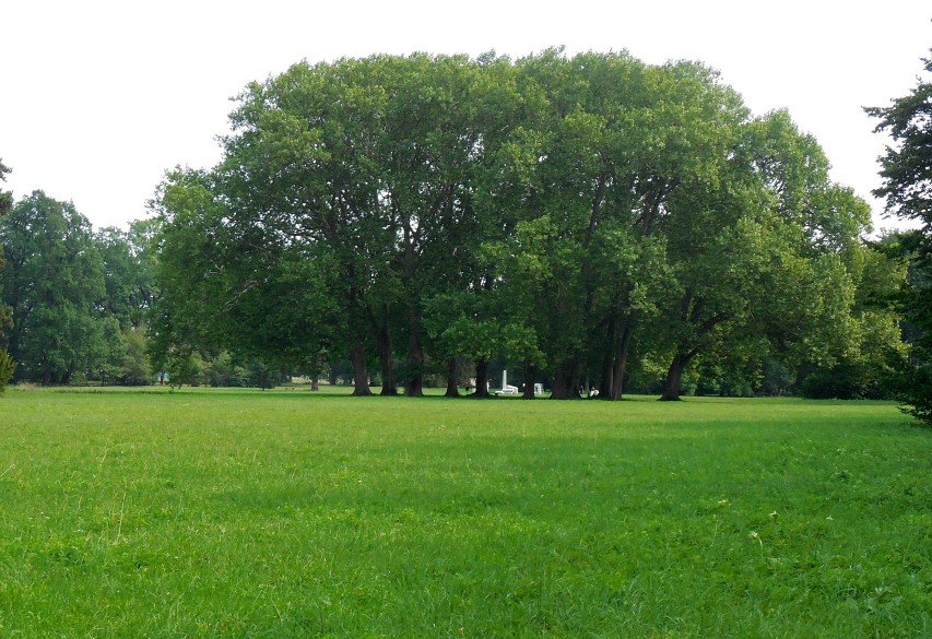 img00031.jpg