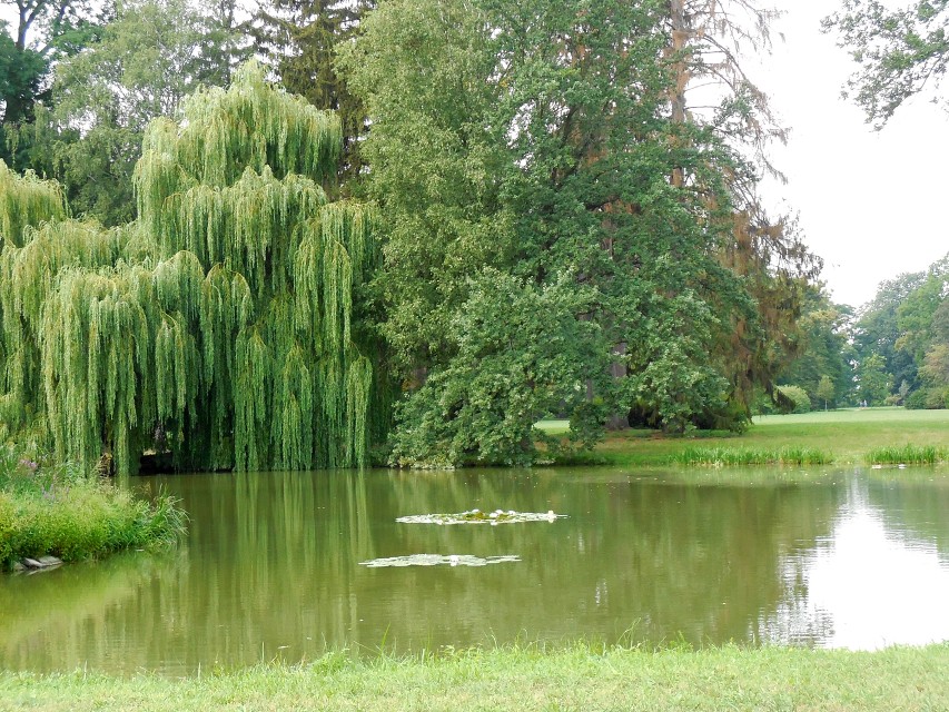 img00034.jpg