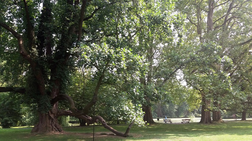img00038.jpg