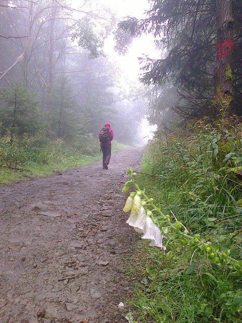 img00007.jpg