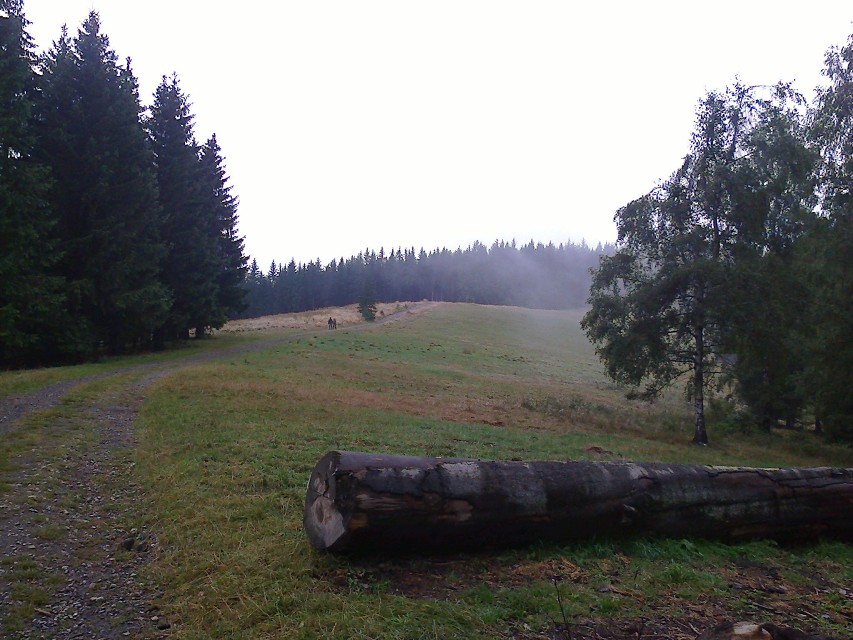 img00008.jpg