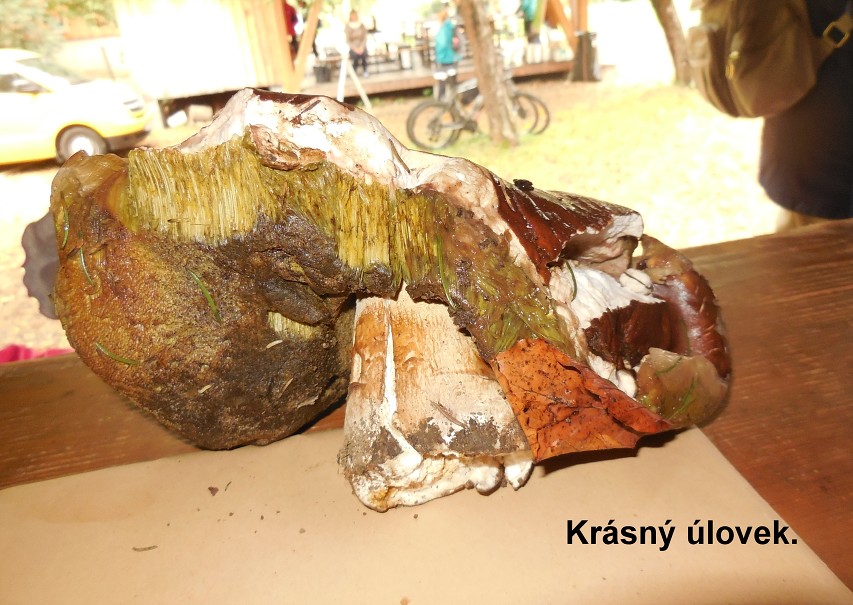 img00029.jpg