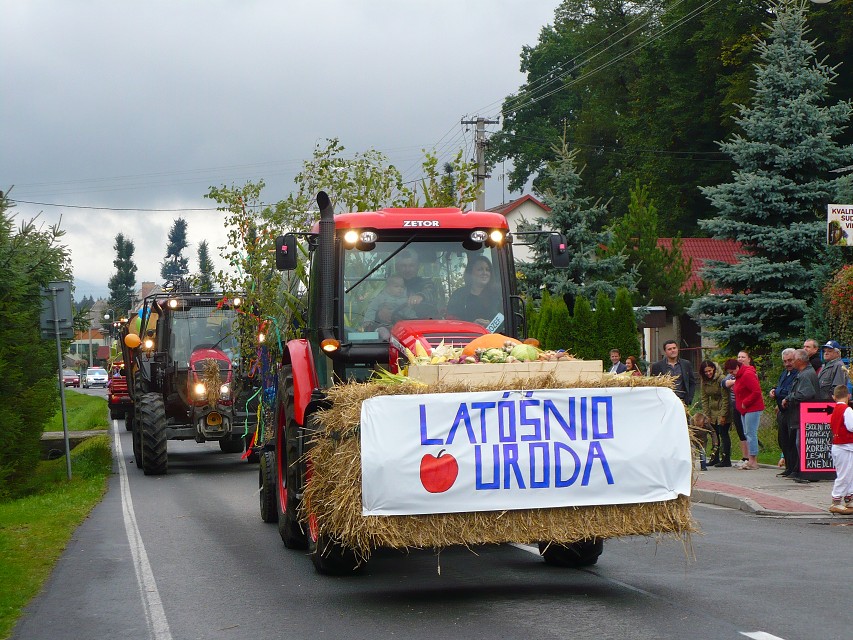 img00041.jpg