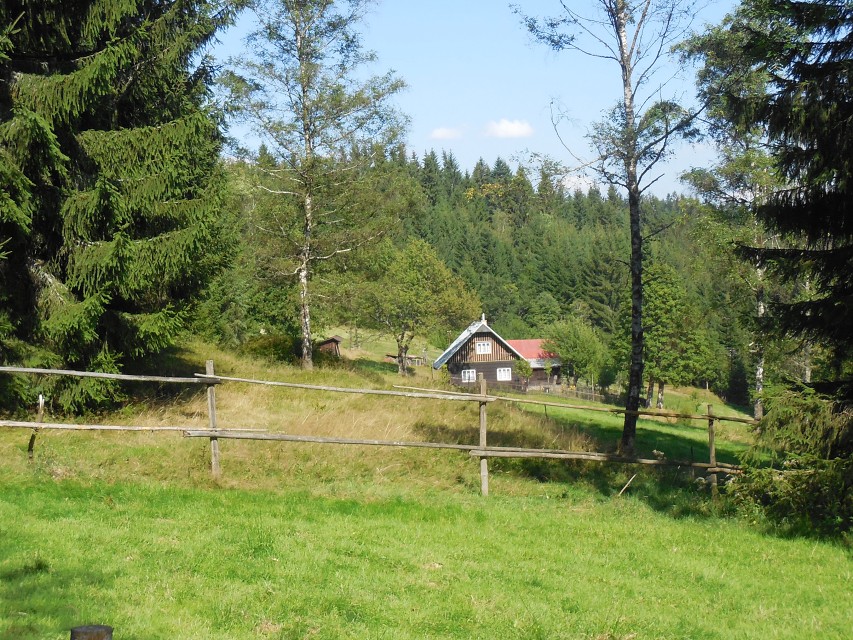 img00033.jpg