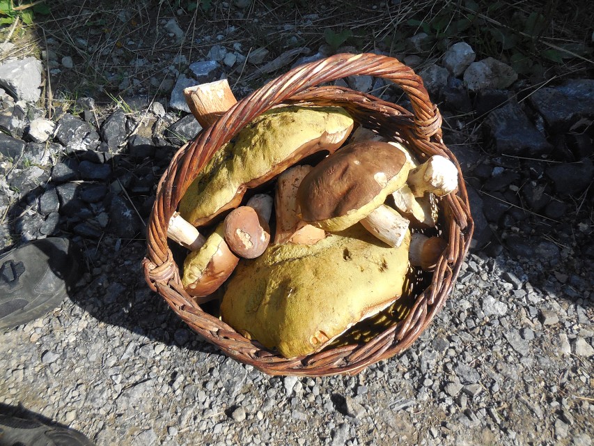 img00036.jpg