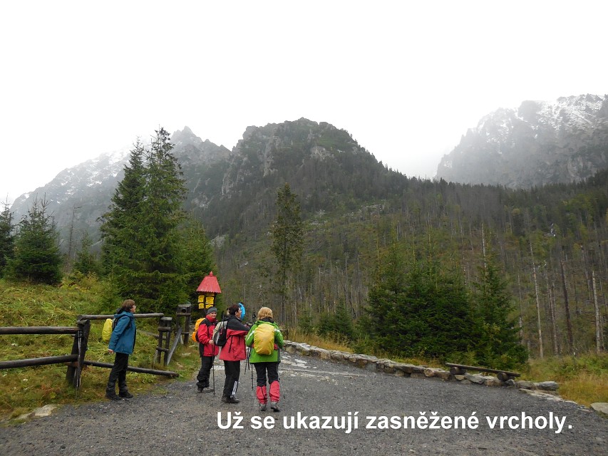img00013.jpg