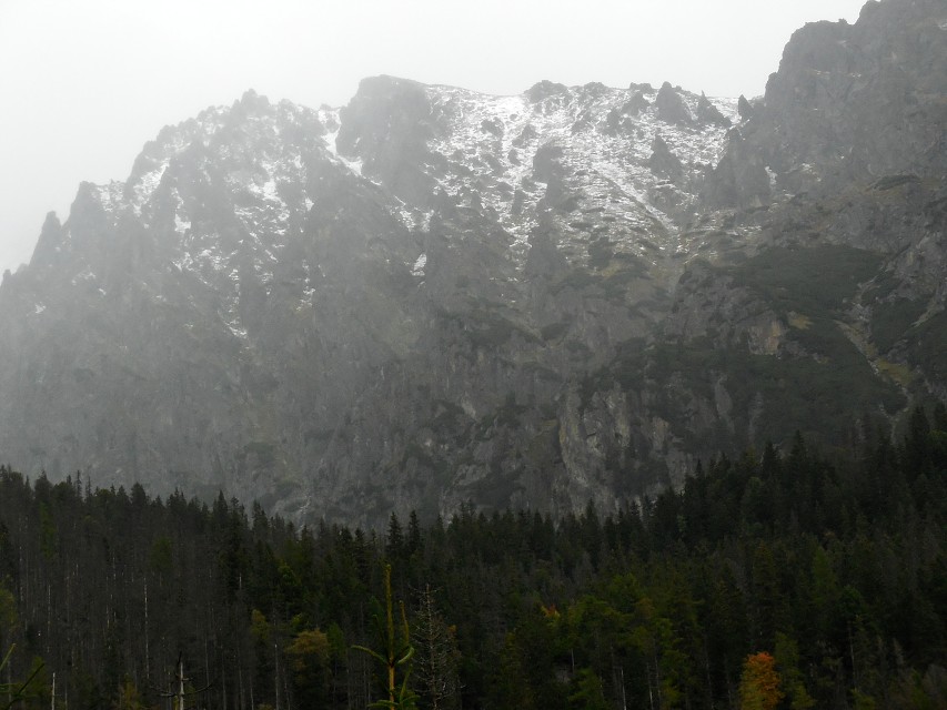 img00014.jpg