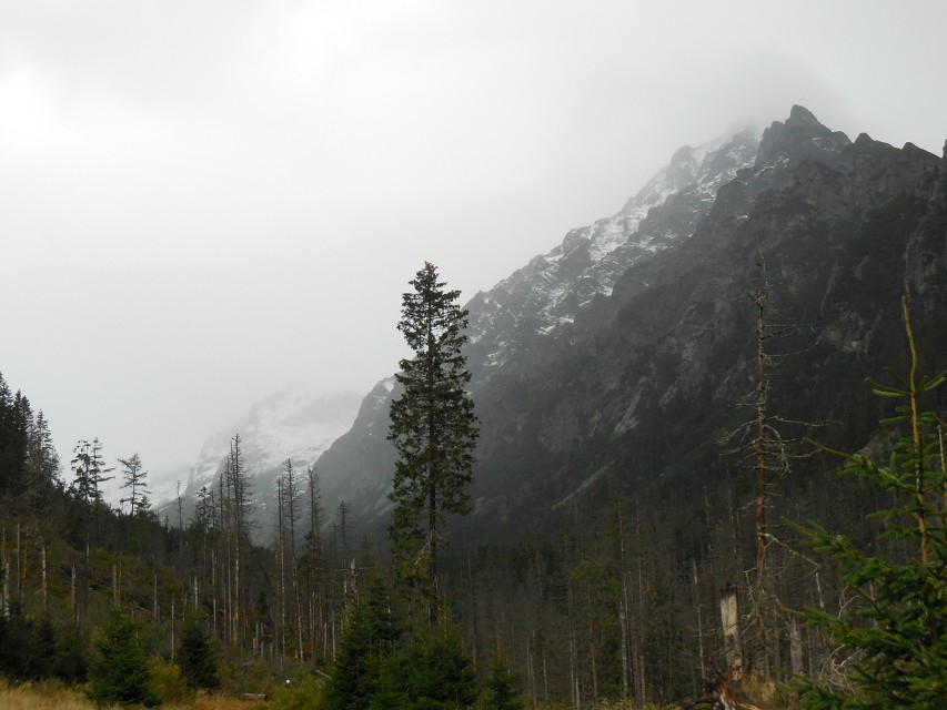 img00015.jpg