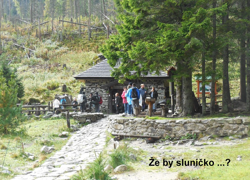 img00016.jpg