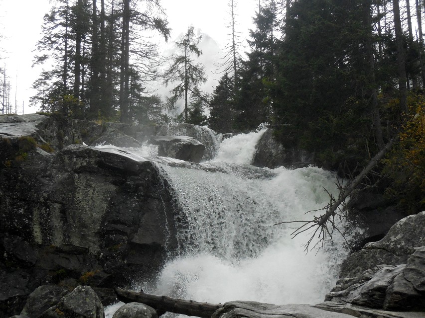 img00028.jpg