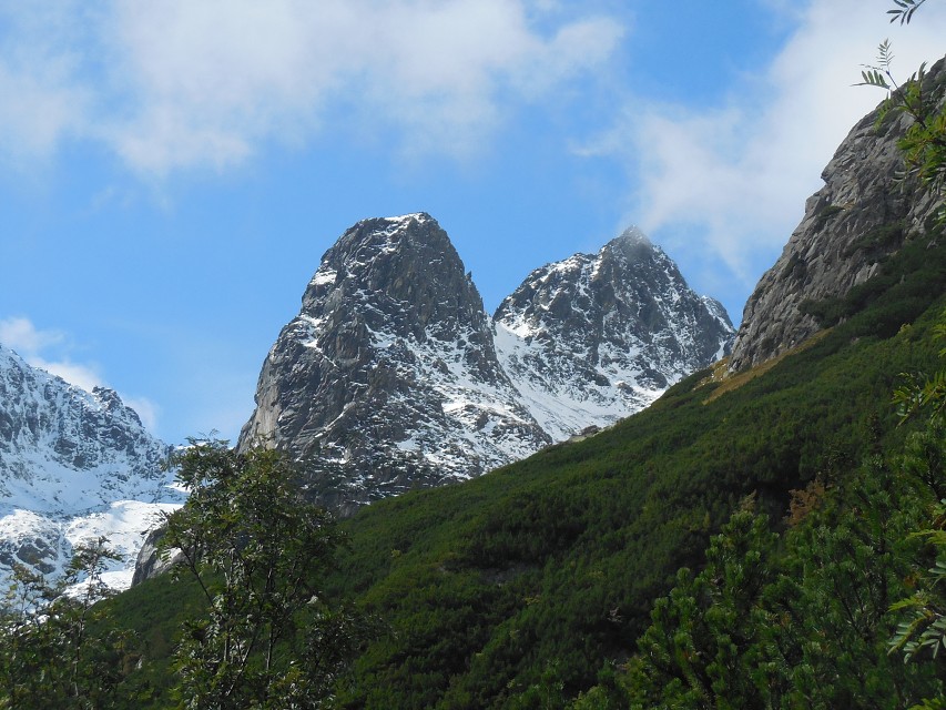 img00059.jpg