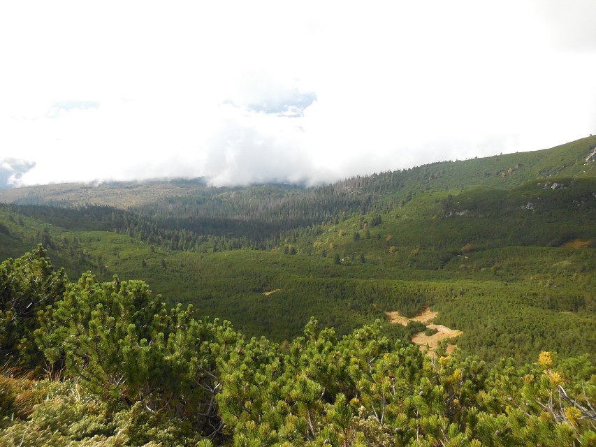 img00091.jpg