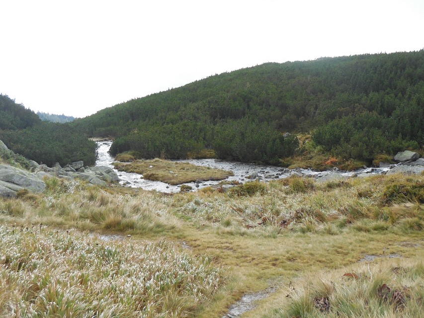 img00096.jpg