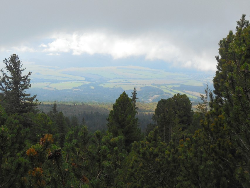 img00099.jpg