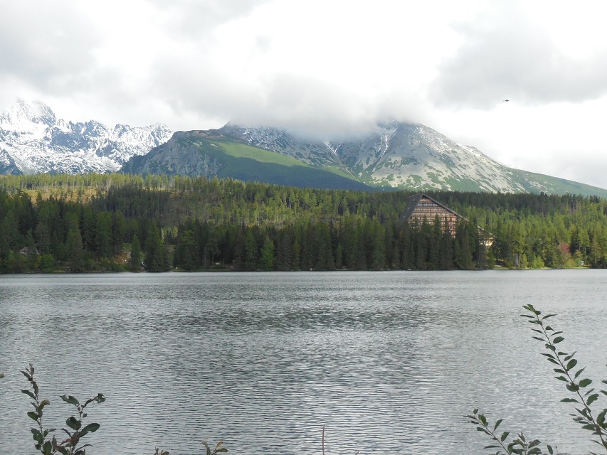img00104.jpg