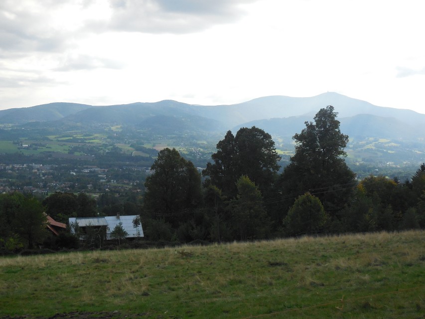 img00004.jpg