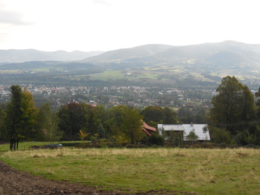 img00005.jpg