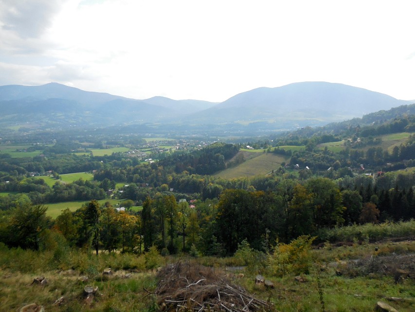 img00019.jpg
